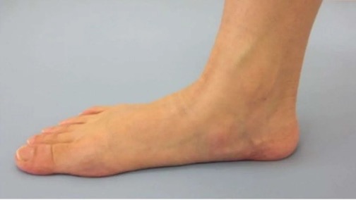 image.jpeg image.jpeg